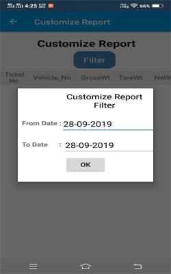 Weighbridge Reporting APP : Custom filter Selection